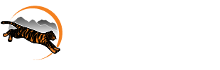 tyson_logo